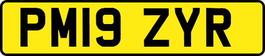 PM19ZYR