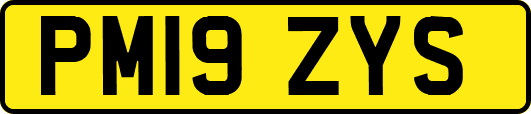 PM19ZYS