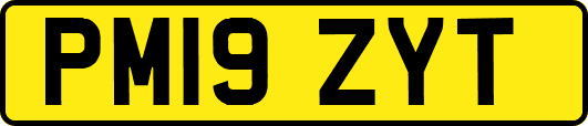 PM19ZYT