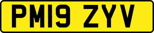 PM19ZYV