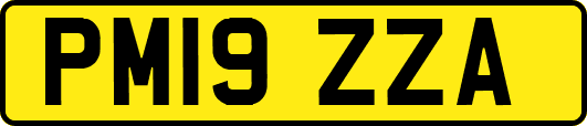 PM19ZZA