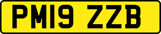 PM19ZZB