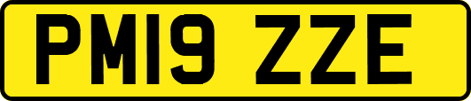 PM19ZZE