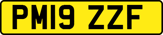 PM19ZZF