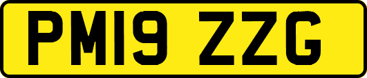 PM19ZZG