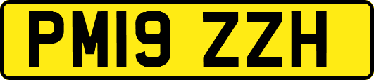 PM19ZZH