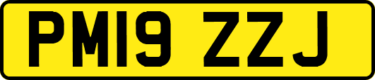 PM19ZZJ