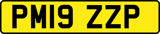 PM19ZZP