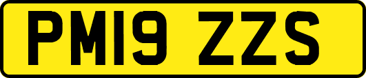 PM19ZZS