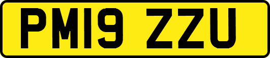 PM19ZZU