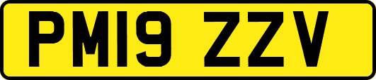 PM19ZZV