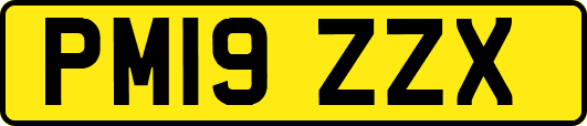 PM19ZZX