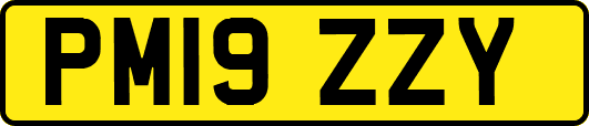 PM19ZZY