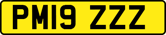 PM19ZZZ