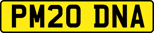 PM20DNA