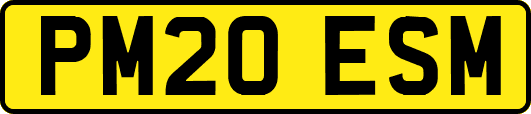PM20ESM