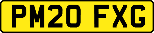PM20FXG