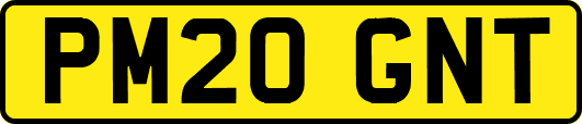 PM20GNT