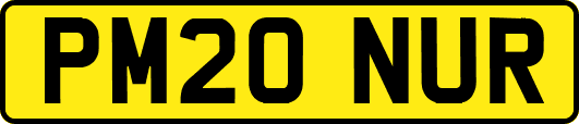PM20NUR