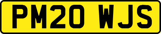 PM20WJS
