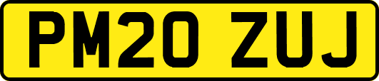 PM20ZUJ