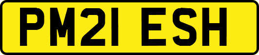PM21ESH