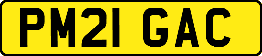 PM21GAC