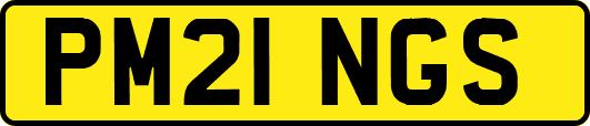PM21NGS