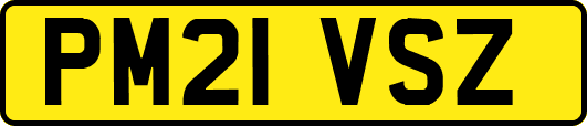 PM21VSZ