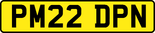 PM22DPN