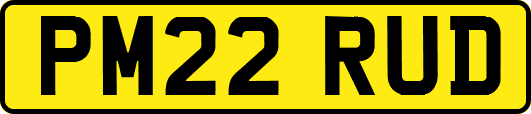 PM22RUD