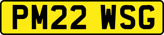 PM22WSG