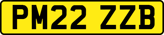 PM22ZZB