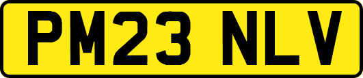 PM23NLV