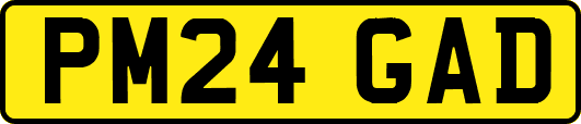 PM24GAD
