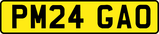 PM24GAO