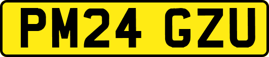 PM24GZU
