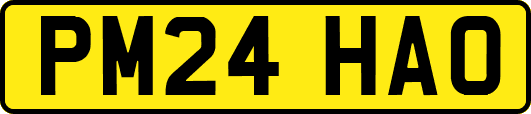 PM24HAO