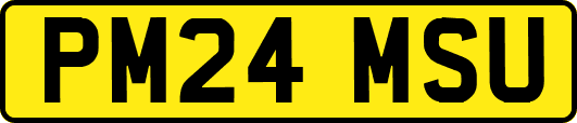 PM24MSU