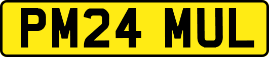 PM24MUL