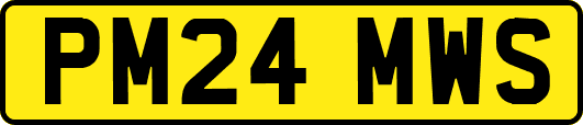 PM24MWS