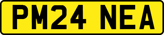 PM24NEA