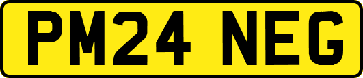 PM24NEG
