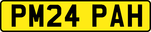 PM24PAH