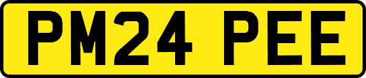 PM24PEE