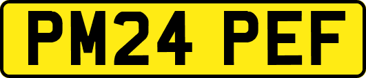 PM24PEF