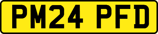 PM24PFD