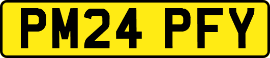 PM24PFY
