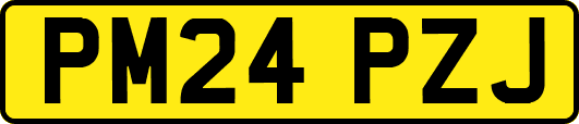 PM24PZJ