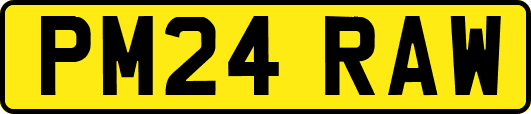 PM24RAW